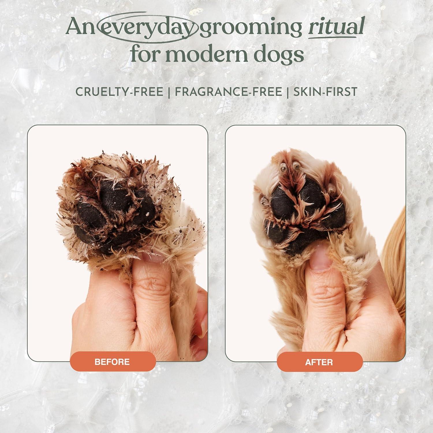 Dandylion Clean Paws Refill | No-Rinse Dog Paw Cleaner & Dog Paw Washer ...